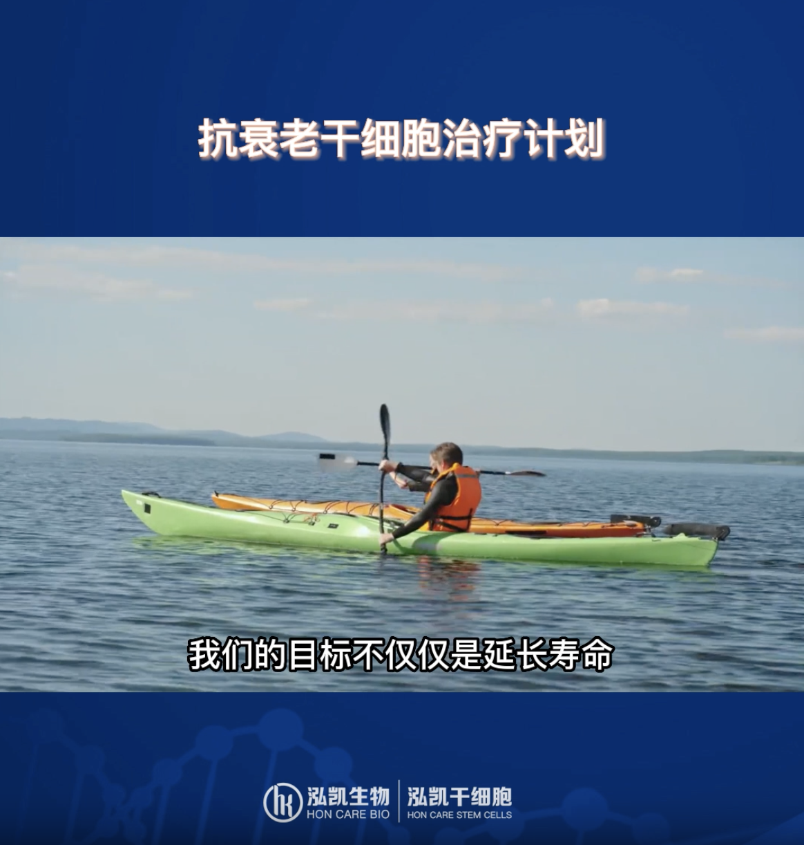 毛囊干细胞生发技术——毛发的生长周期
