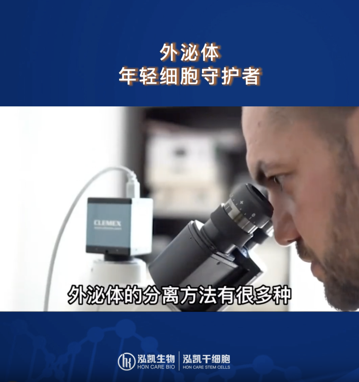 外泌体——年轻细胞守护者