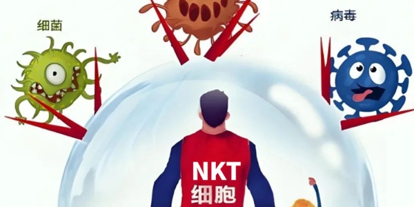 NK细胞，人体内强大的抗癌前锋！