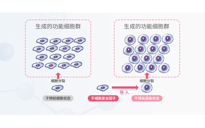 看脸;时代？！面部抗衰新趋势细胞抗衰与医美抗衰的区别！