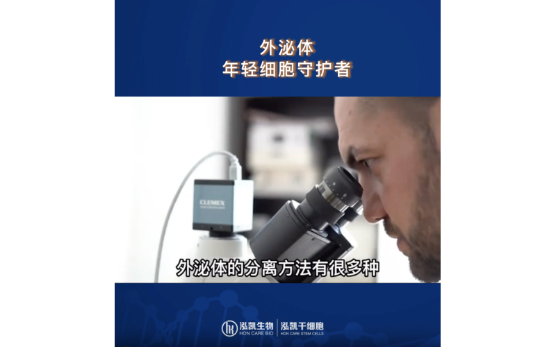 外泌体——年轻细胞守护者